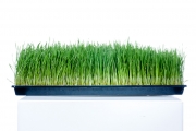 product-000024