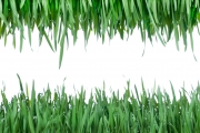product-000031